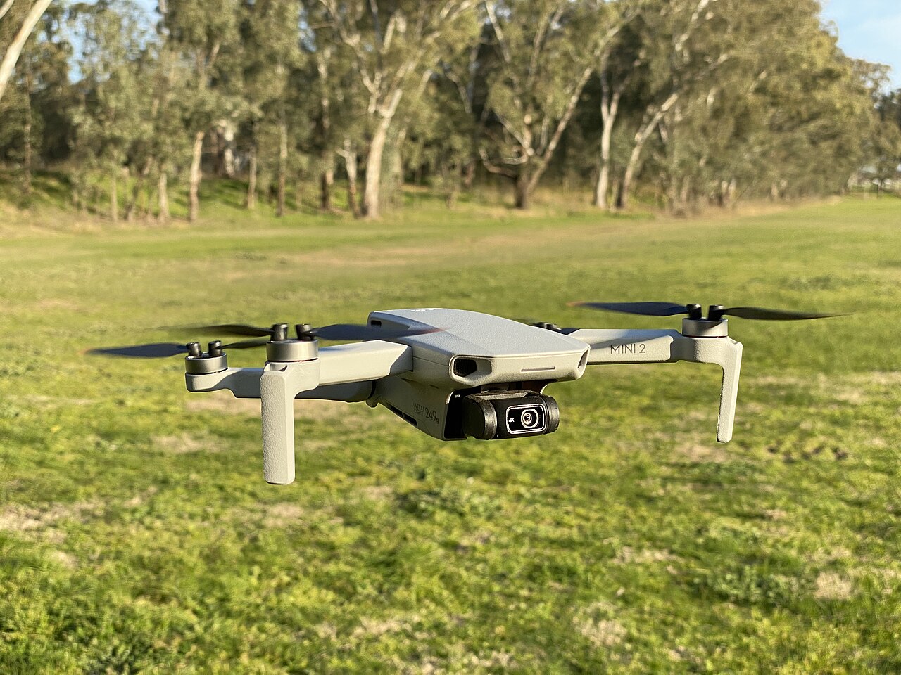 A DJI Mini 2 camera drone hovering over grass with trees in the background.